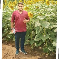 SUBRAMANI A