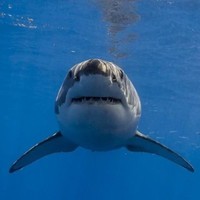 abdelhakim elbanoudi