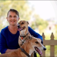 Robyn Whitaker