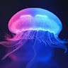 JellyFish Jungle Gym