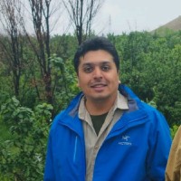 ali mostafavi