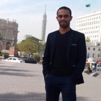 Ahmed El ashry