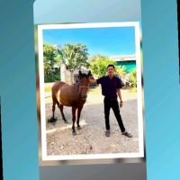 Min Naing Soe