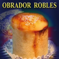 Javier Robles Castro Robles Castro
