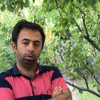 Ali Araghi