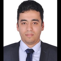 Mohamed Mohamed Elsayed