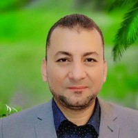 Waleed Fareed