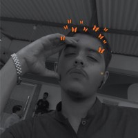 Areeb Rafi