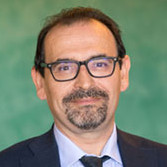 Alessandro Collini