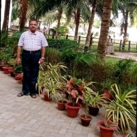 Amit Sahu