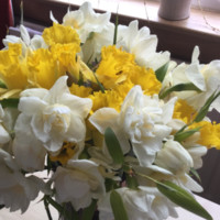 Kay Hamilton