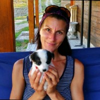 Daniela Ghiea Eng MSc FGS