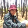 Arif Nu'man