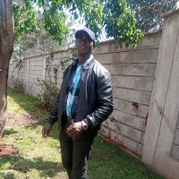 steve lumiti