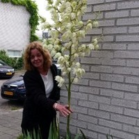 Wilma Beekenkamp - Van Der Sar