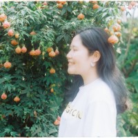 Phuong Mai Vu