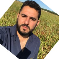 Єlton Júnior