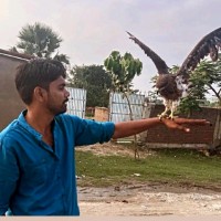 Siddhu kumar