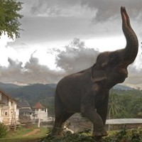 Janaka Wickramasinghe