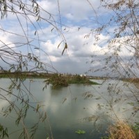 林丽娜