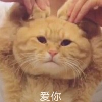 李旭昆