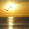 Sol Paixao