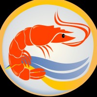 Administrador DIJORI