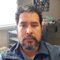 Narval Carrillo Wilkie