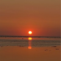 امل البلوي