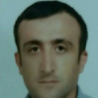 Mir Mostafa Ghamilooye