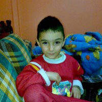 volkan algül