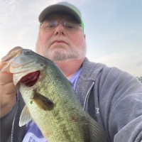 Gene Wallace