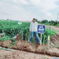 JUAN ALBERTO RAMOS ROMERO