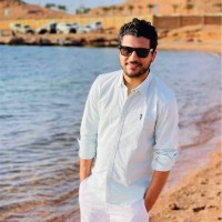 Mahmoud Ghozlan