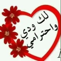 عقيل الصالحي