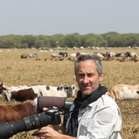 Pierre Defos Du Rau