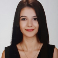 Ayşegül Şahin Akgün