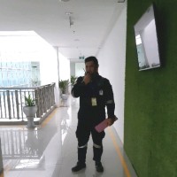 Dimas Hedi