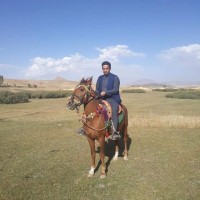 wahidullah adel