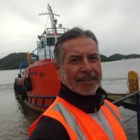 geferson carvalho alves