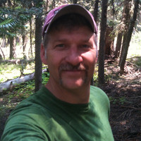 Dave Palo