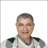 Amir Elsayed