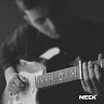 Nicolas Barham