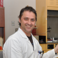 Daniel Rolland