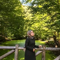 Burcu Nur Cebesoy