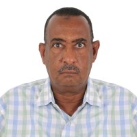 Gailani Elamin