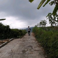 Stevan Pratama