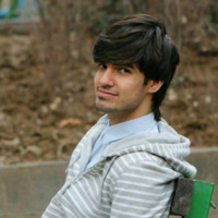 Ehsan Namdari