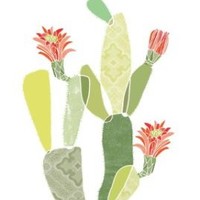 philippa kruger