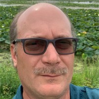 Chris Scheib